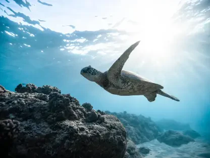 How Is Qatar Leading Sea Turtle Conservation Efforts?