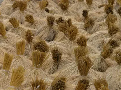 Rice Straw Bioenergy Hub Transforms Farming in Laguna
