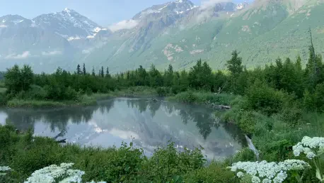 Can Solar Farms Grow Food and Power Alaska’s Future?