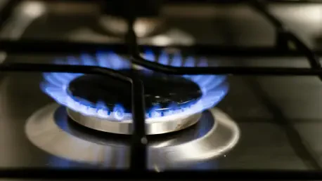 Gas Reliance Deepens Energy Affordability Crisis in US