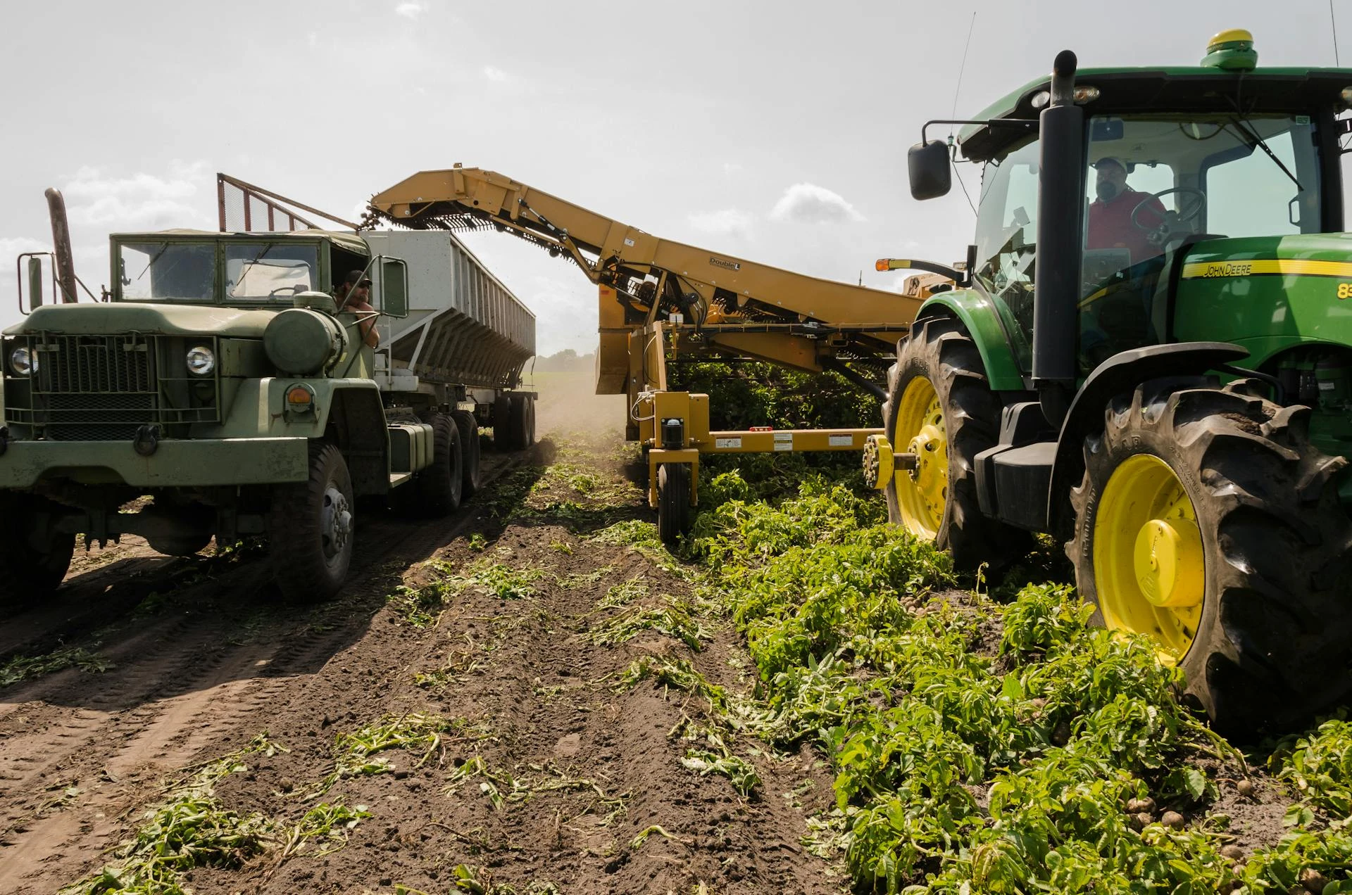 Picture of Can Off-Grid Solar Transform Climate-Smart Agriculture? | Utilities Curated