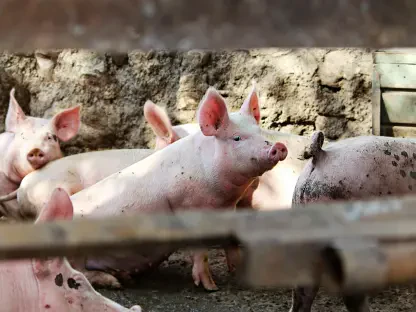 Argentine Plant Turns Pig Waste Into Clean Energy