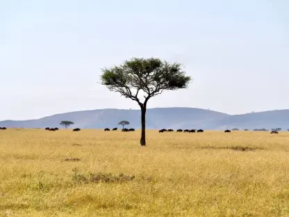How Will the JNHPP Transform Tanzania’s Energy Future?