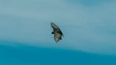 Acoustic Sensors Help Wind Farms Protect Endangered Bats