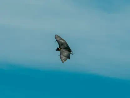 Acoustic Sensors Help Wind Farms Protect Endangered Bats
